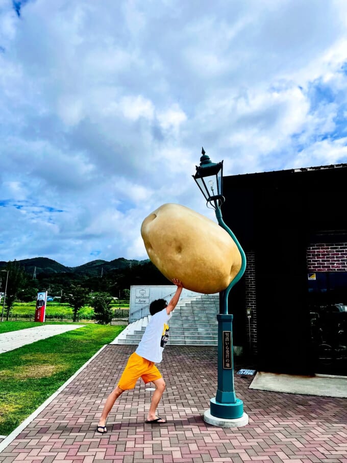 北海道　じゃがいも